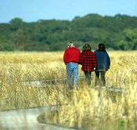 Onkaparinga River Recreation Park - Maitland Accommodation