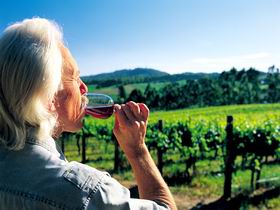 Ashton Hills Vineyard - Maitland Accommodation 0