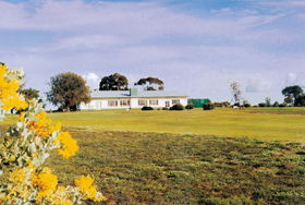  Maitland Accommodation
