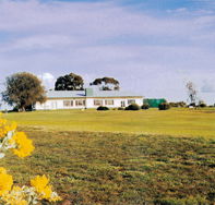 Lucindale Country Club - Maitland Accommodation