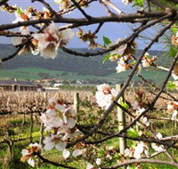 Cradle of Hills McLaren Vale Winery - Maitland Accommodation