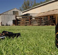 Wilkadene Woolshed Brewery - Maitland Accommodation