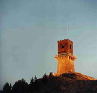 Centenary Tower - Maitland Accommodation