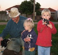Orrie Cowie Merino and Poll Merino Stud - Maitland Accommodation