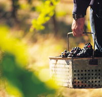 Burge Family Winemakers - Maitland Accommodation