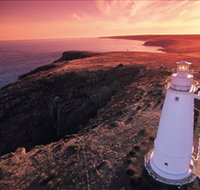 Lashmar Conservation Park - Maitland Accommodation