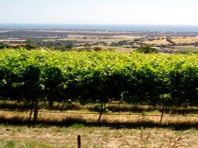  Maitland Accommodation