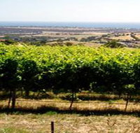 Braydun Hill Vineyard - Maitland Accommodation