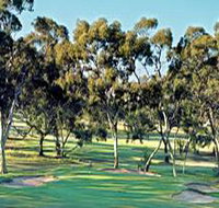 Tanunda Pines Golf Club - Maitland Accommodation