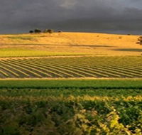 Kellermeister Wines - Maitland Accommodation