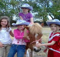 Amberainbow Pony Rides - Maitland Accommodation