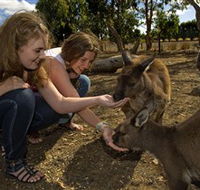 Kangaroo Island Wildlife Park - Maitland Accommodation