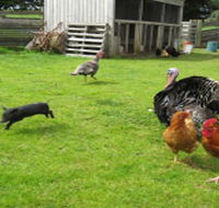 Echo Farm - Maitland Accommodation