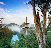 Tahune Adventures Tasmania - Maitland Accommodation