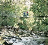 Arve Forest Drive - Maitland Accommodation