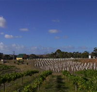 Deep Creek Wines and Alpacas - Maitland Accommodation