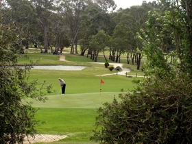 Mount Barker-Hahndorf Golf Club - Maitland Accommodation 0