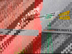 Clifford's Honey Farm - Maitland Accommodation 0