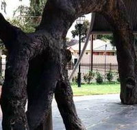 Old Gum Tree - Maitland Accommodation