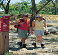 Riesling Trail - Maitland Accommodation
