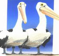 Bay of Shoals Wines - Maitland Accommodation