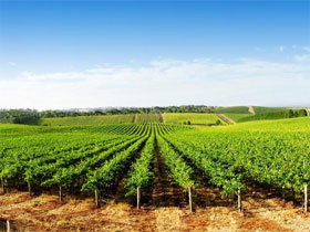 Maitland Accommodation