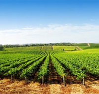 Aldinga Bay Winery - Maitland Accommodation