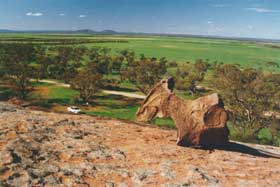  Maitland Accommodation