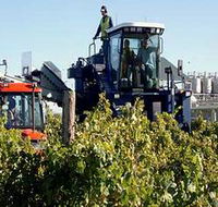 Ballast Stone Estate Wines Pty Ltd - Maitland Accommodation