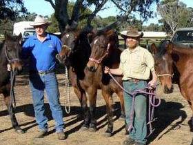  Maitland Accommodation