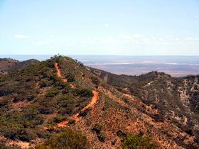 Arden Hills Props - Maitland Accommodation 0