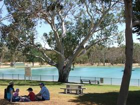 Naracoorte Nature Park And Swimming Lake - Maitland Accommodation 0