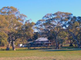 Old Wilpena Station - Maitland Accommodation 0