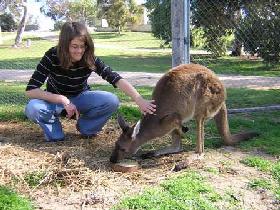 Willalooka SA Maitland Accommodation