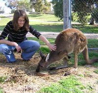 Pendleton Farmstay - Maitland Accommodation