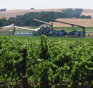 Kirrihill Wines - Maitland Accommodation