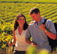 Lady Bay Vineyard - Maitland Accommodation
