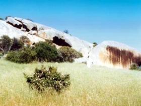Ucontitchie Hill - Maitland Accommodation 0