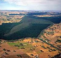 Mount Crawford Forest Reserve - Maitland Accommodation