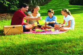 Bruny Island Berry Farm - Maitland Accommodation 0