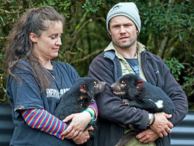 Devils@cradle - Maitland Accommodation 0