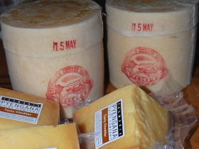 Pyengana Dairy Company - Maitland Accommodation 0