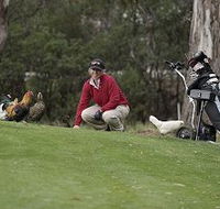 Tasmania Golf Club - The - Maitland Accommodation