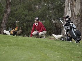 Tasmania Golf Club - The - Maitland Accommodation 0