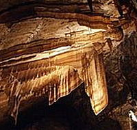 Gunns Plains Cave - Maitland Accommodation
