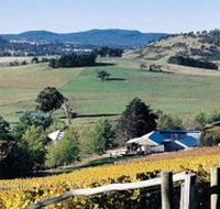Freycinet Vineyards Pty Ltd - Maitland Accommodation
