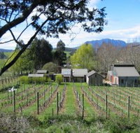 Wilmot Hills Vineyard - Maitland Accommodation