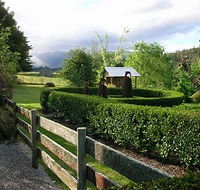 Wychwood Garden  Nursery - Maitland Accommodation