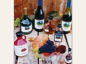 Hartzview Vineyard - Maitland Accommodation 0