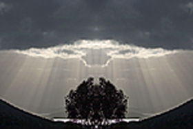 Aart. Gallery Of Fine Art - Maitland Accommodation 0